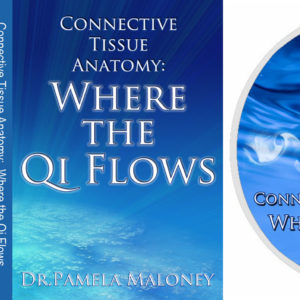 Connective Tissue Anatomy Where the Qi Flows